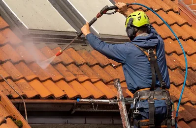 Démoussage et hydrofuge de toiture à Domont